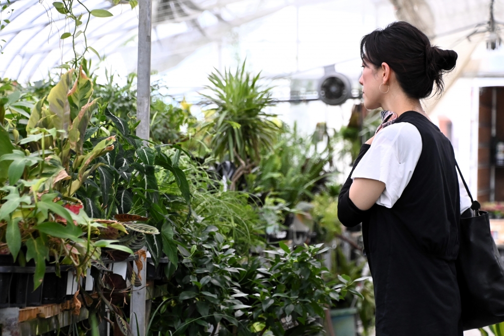 富山　観葉植物　おすすめ